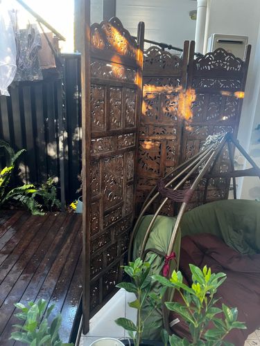 IMG_7659.jpeg IMG_7659.jpeg