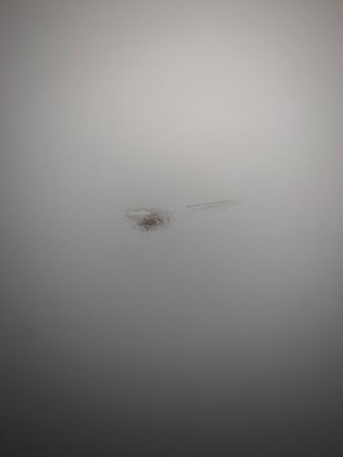 C4D0F2AE-515D-441B-9AB3-BBC5287C20A1.jpeg C4D0F2AE-515D-441B-9AB3-BBC5287C20A1.jpeg