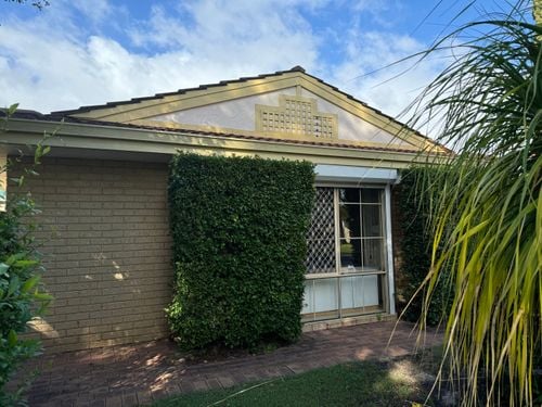 IMG_4084.jpeg IMG_4084.jpeg