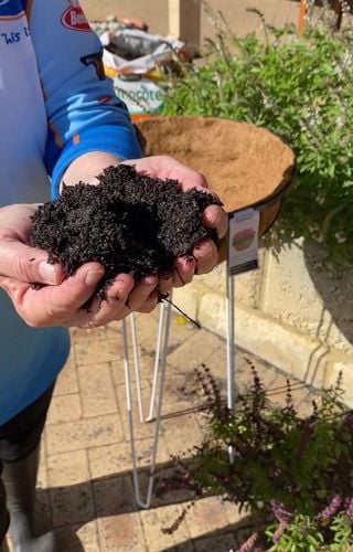 31860F2F-BDDF-4E10-851A-09A4B191A75C.jpeg 31860F2F-BDDF-4E10-851A-09A4B191A75C.jpeg