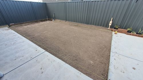 20251024_164432.jpg 20251024_164432.jpg