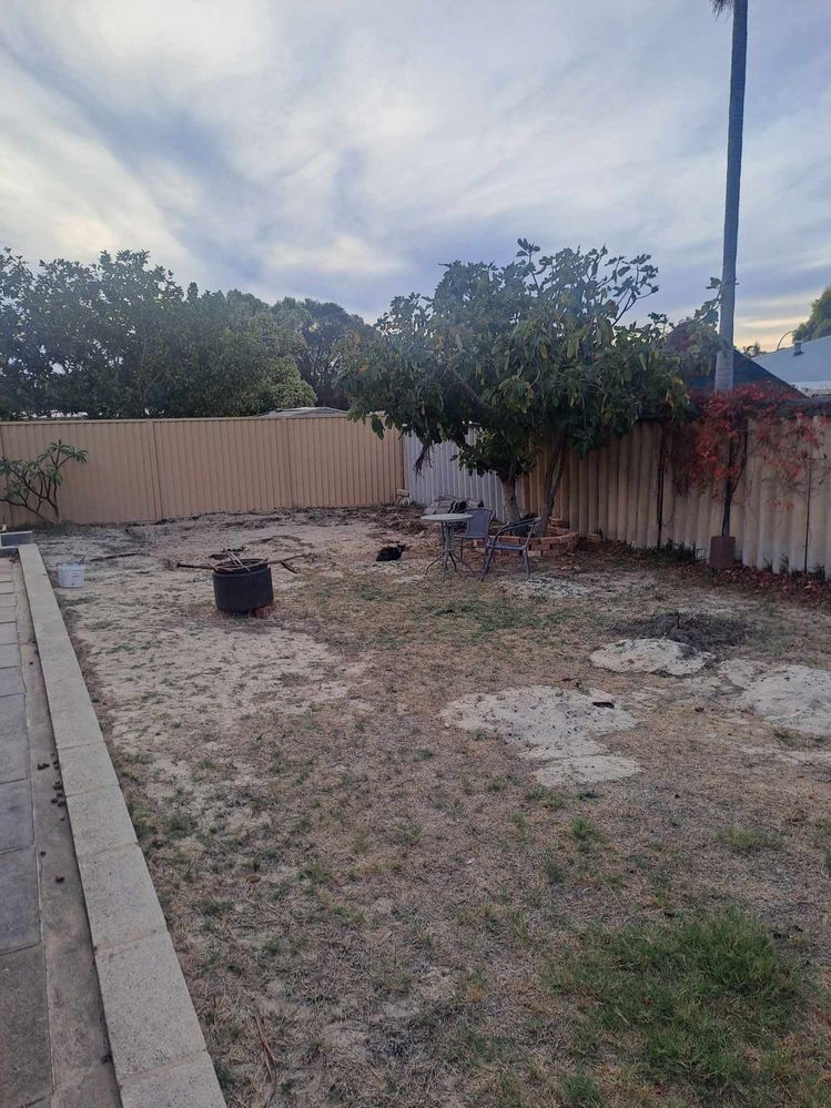 441467636_996377878650420_3842979568373504517_n.jpg 441467636_996377878650420_3842979568373504517_n.jpg