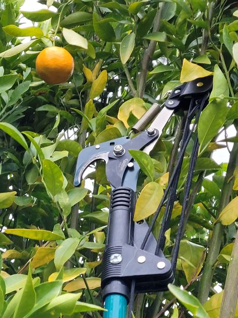 20220818_084720.jpg 20220818_084720.jpg