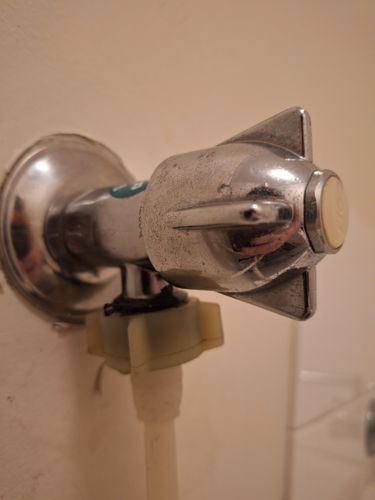 1000008661.jpg 1000008661.jpg