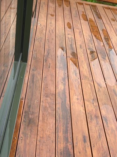 IMG_4127.jpeg IMG_4127.jpeg