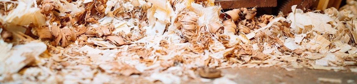 Shavings.jpg Shavings.jpg