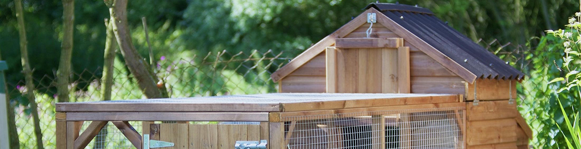 Hero chicken coop.png Hero chicken coop.png