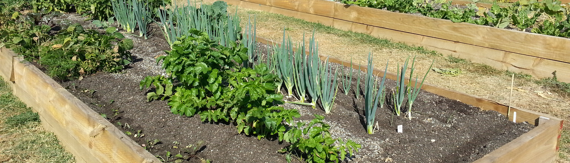 bruceprince.png bruceprince.png