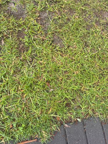 IMG_8631.jpeg IMG_8631.jpeg