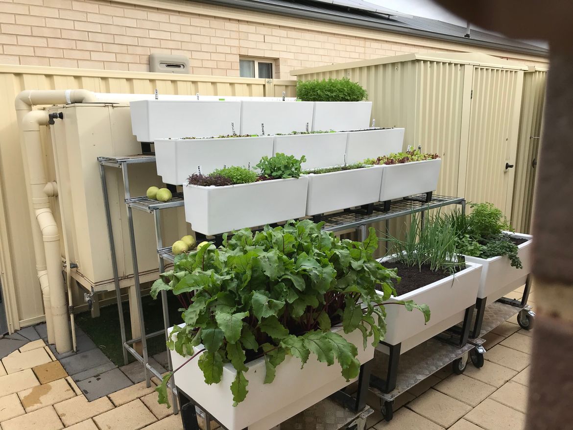 IMG_0202.jpeg IMG_0202.jpeg