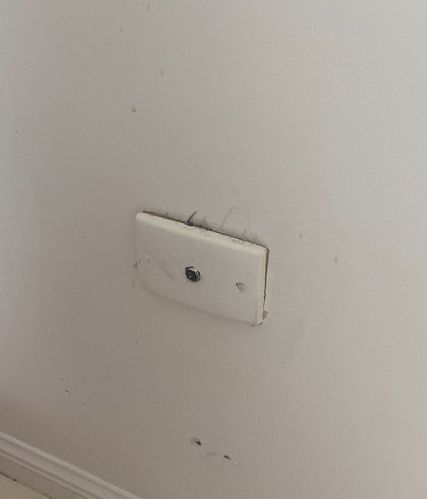 IMG_5114.jpeg IMG_5114.jpeg