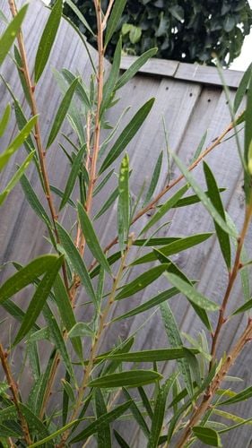 1000012953.jpg 1000012953.jpg