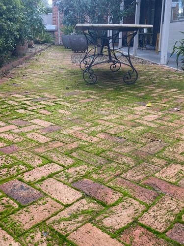 IMG_7163.jpeg IMG_7163.jpeg