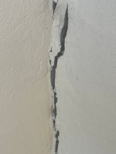 IMG_6542.jpeg IMG_6542.jpeg