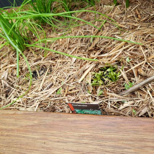 20210105_150057.jpg 20210105_150057.jpg