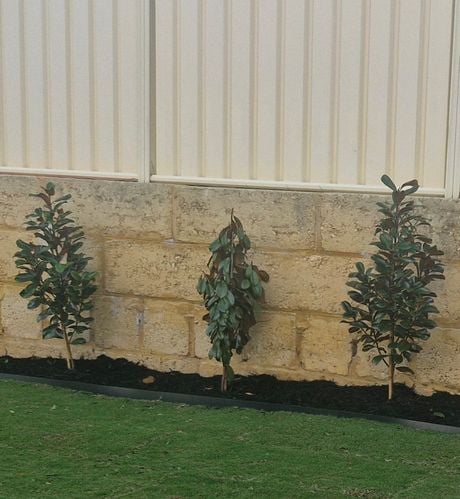 Screenshot_20250605_082843_Gallery.jpg Screenshot_20250605_082843_Gallery.jpg