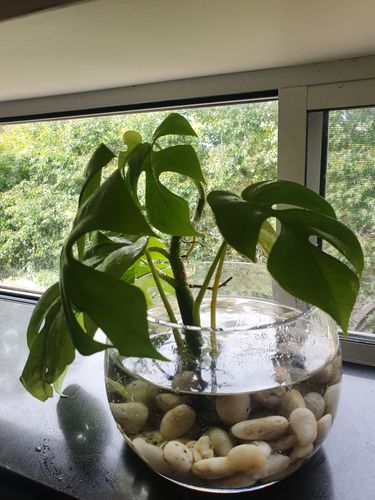 20220108_091838.jpg 20220108_091838.jpg