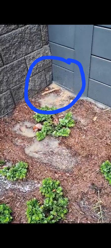 Screenshot_20240103_133052_WhatsApp.jpg Screenshot_20240103_133052_WhatsApp.jpg