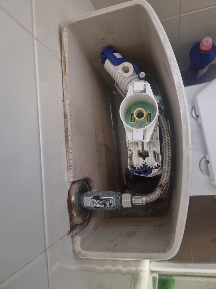 20240515_121659.jpg 20240515_121659.jpg