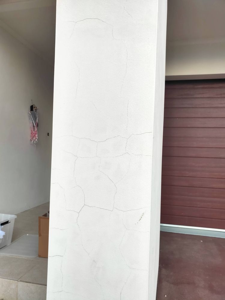 IMG20221030191031 (2).jpg IMG20221030191031 (2).jpg