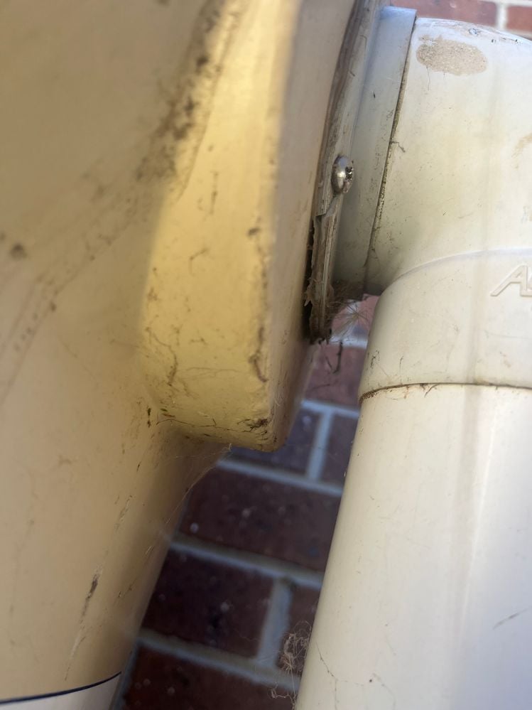 IMG_6314.jpg IMG_6314.jpg