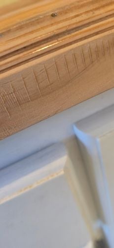 1000022560.jpg 1000022560.jpg