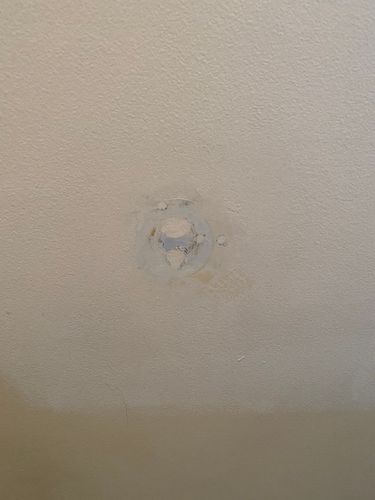 13D9AFB7-9EEA-460A-A948-DC175070B544.jpeg 13D9AFB7-9EEA-460A-A948-DC175070B544.jpeg