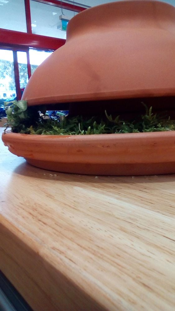 6 Gap To Enter.jpg 6 Gap To Enter.jpg