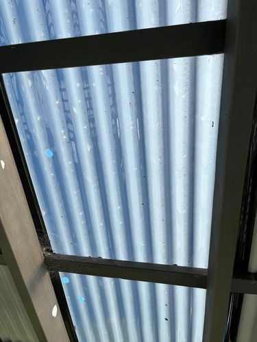 IMG_6558.jpeg IMG_6558.jpeg