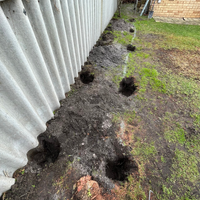 Step 2.2. Holes dug.png Step 2.2. Holes dug.png