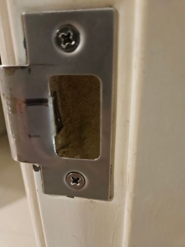 1000077651.jpg 1000077651.jpg