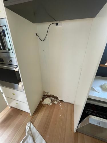 IMG_4358.jpeg IMG_4358.jpeg