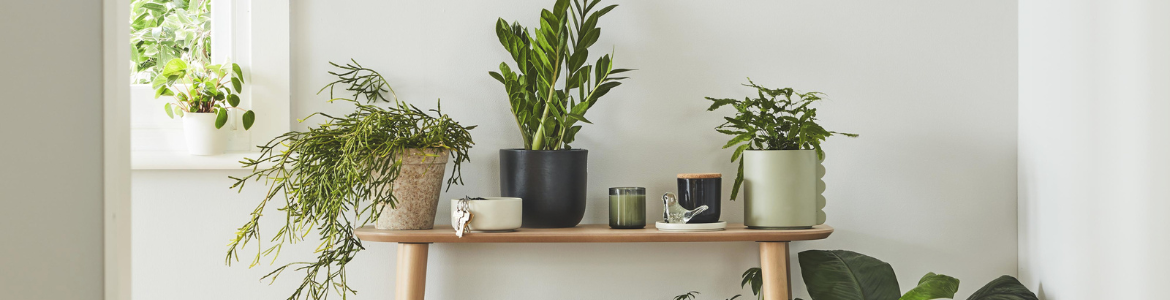 Hero Image Test Blog (90).png Hero Image Test Blog (90).png