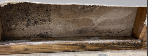 Sugar_18-1748225331001.png Sugar_18-1748225331001.png