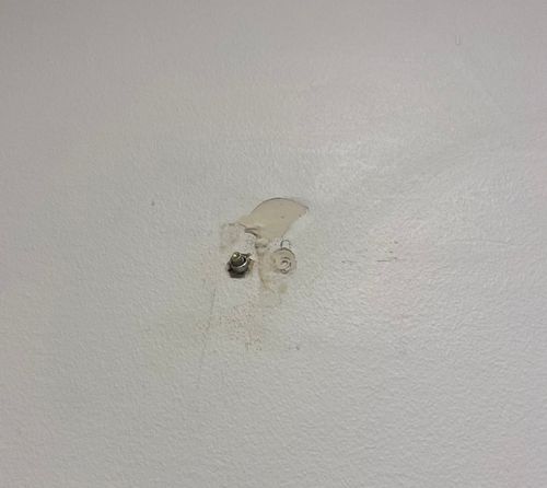 IMG_4663.jpeg IMG_4663.jpeg