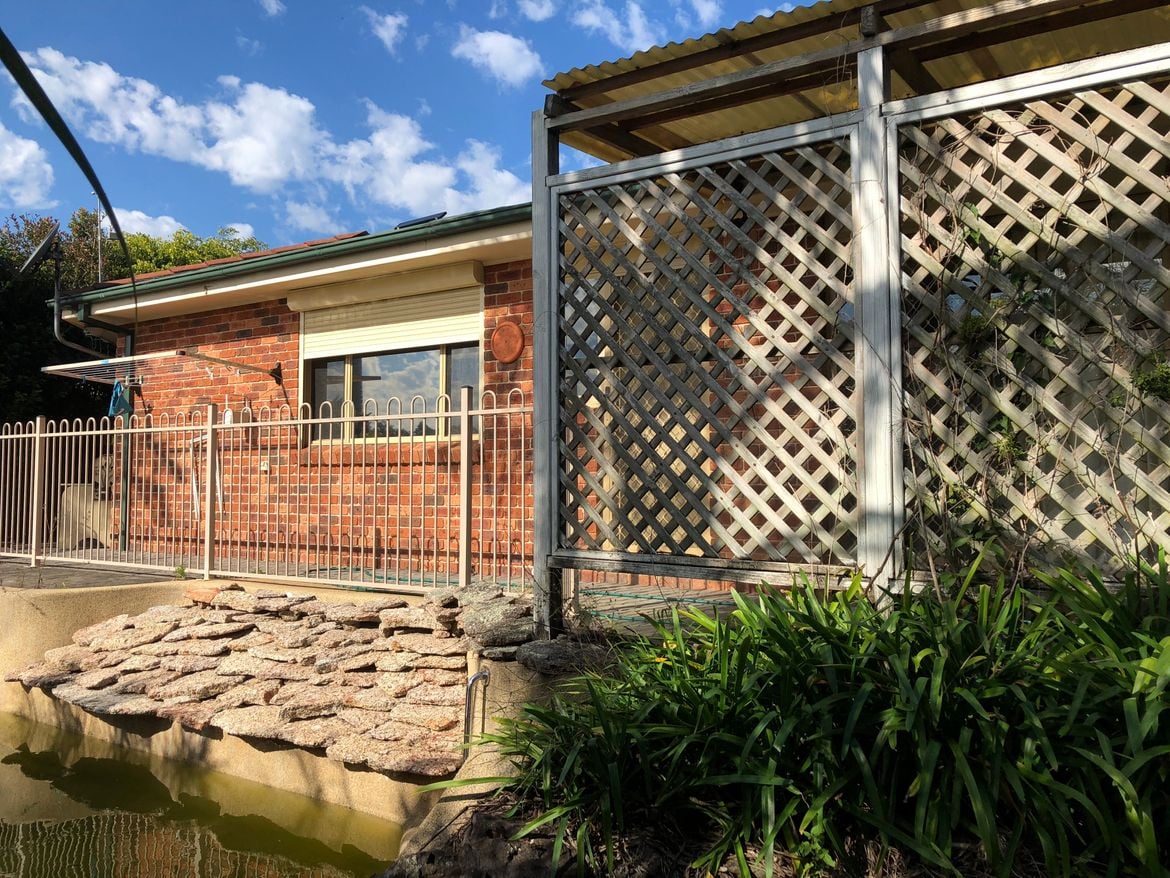 IMG_4369.JPG IMG_4369.JPG