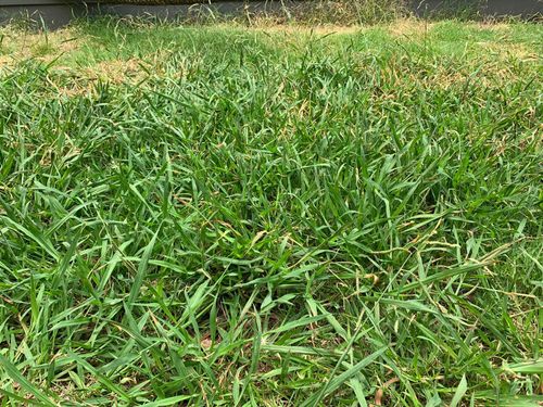 WhatsApp Image 2021-02-15 at 20.24.16.jpeg WhatsApp Image 2021-02-15 at 20.24.16.jpeg