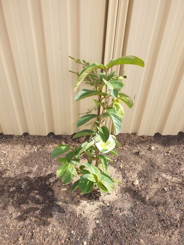 20230425_123201.jpg 20230425_123201.jpg