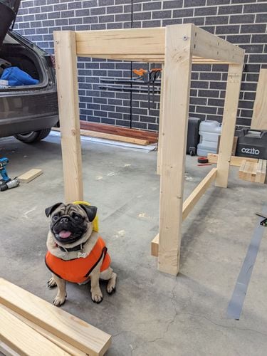 PXL_20220109_020649821.jpg PXL_20220109_020649821.jpg