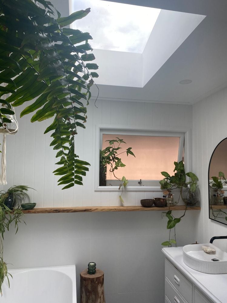 46BCBB30-FE48-4891-B693-79E85EB03395.jpeg 46BCBB30-FE48-4891-B693-79E85EB03395.jpeg