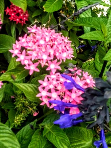 IMG_20210129_120634.jpg IMG_20210129_120634.jpg