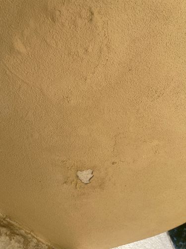 IMG_6705.jpeg IMG_6705.jpeg