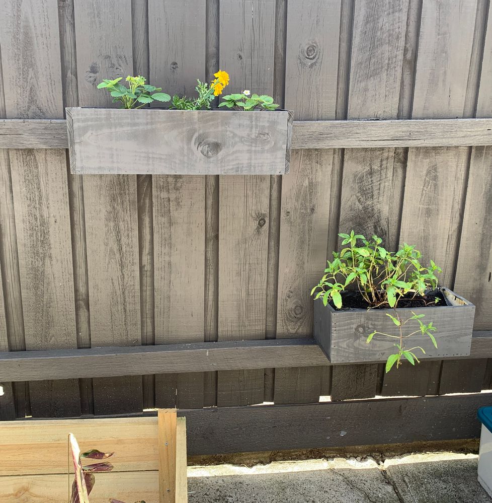 IMG_9552.jpg IMG_9552.jpg