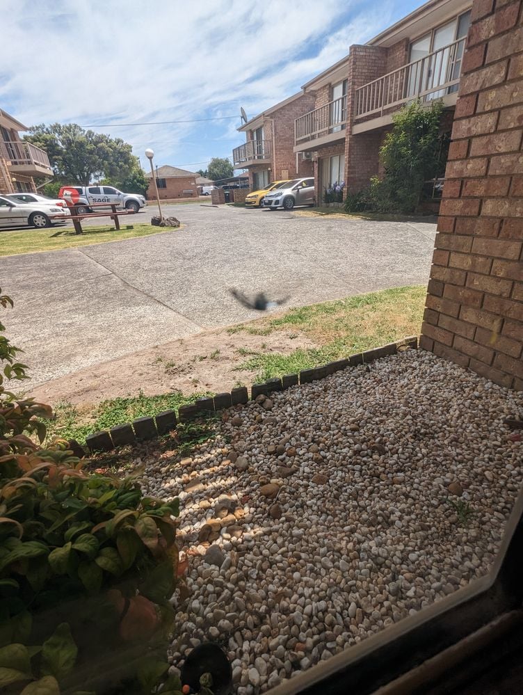 PXL_20230109_022051216.jpg PXL_20230109_022051216.jpg