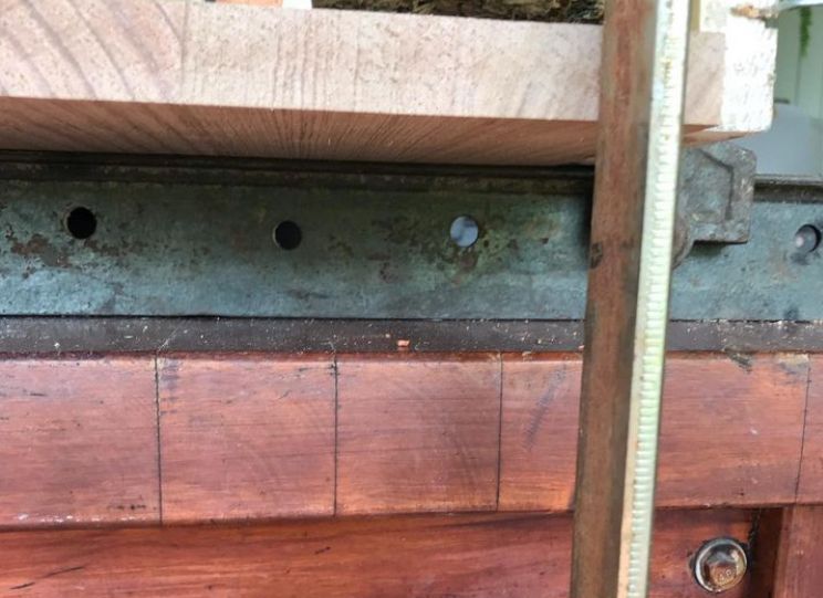 IMG_3821.jpeg IMG_3821.jpeg