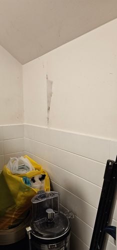 1000034712.jpg 1000034712.jpg