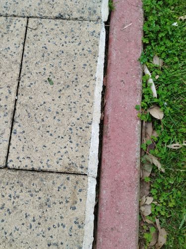 1000021788.jpg 1000021788.jpg