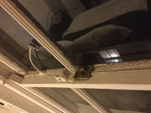 61D6DF40-E749-44D2-AC7D-19CEEF794D82.jpeg 61D6DF40-E749-44D2-AC7D-19CEEF794D82.jpeg