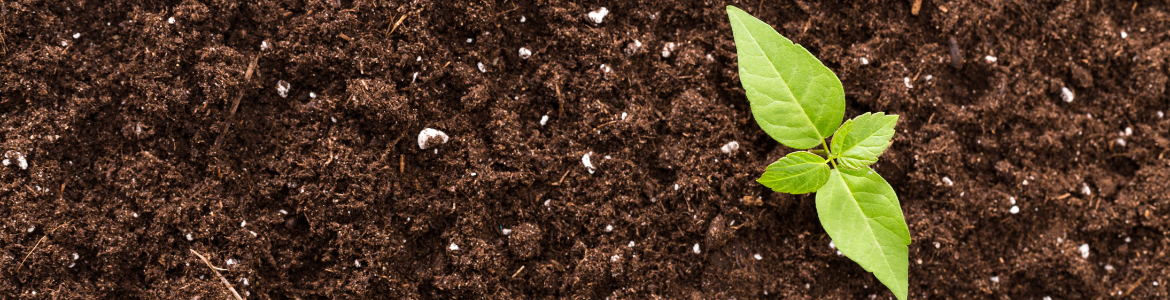 Hero Image Test Blog - 2022-12-06T122736.993.png Hero Image Test Blog - 2022-12-06T122736.993.png