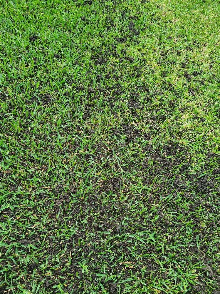 20250326_084859.jpg 20250326_084859.jpg